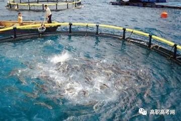 水產(chǎn)養(yǎng)殖技術(shù)、專(zhuān)業(yè)介紹及就業(yè)前景分析